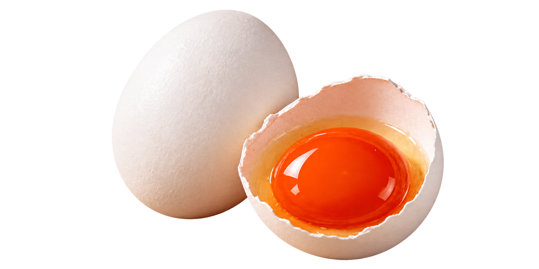A white shell egg beside a cracked white shell showing a deep red orange yolk